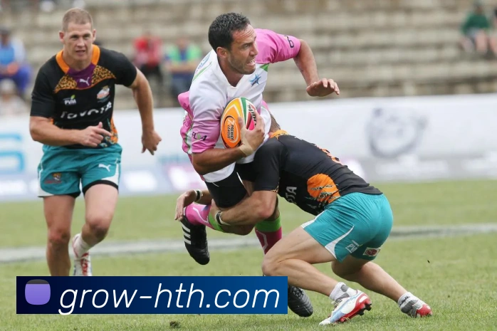 华体会(hth)平台生态图